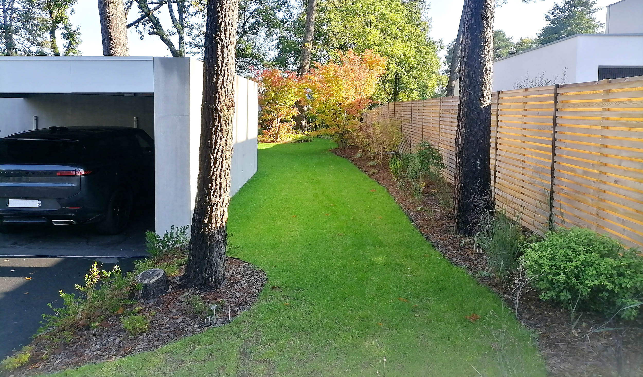 IMG_20241010_104659 copie2 copie